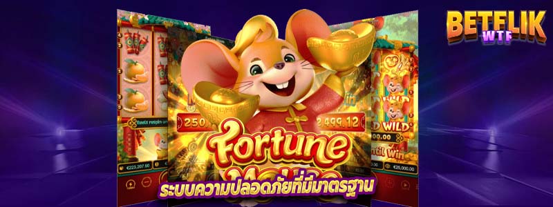 ระบบความปลอดภัยที่มีมาตรฐาน